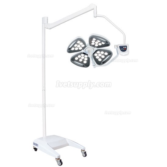 KL KL-LED-MSZ4 Veterinary LED Cold Source Shadowless Operation Light Surgical Lamp(AC/DC)